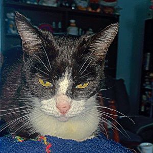 Meet your Posher, Kaylee